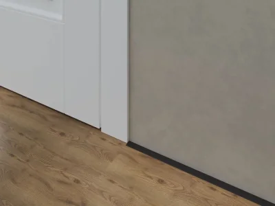 Микроплинтус LACONISTIQ micro 19 ARM Серебро анодированное (2450х19х5,5 мм)