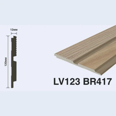 LV123 BR417