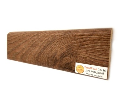 дуб западный_1