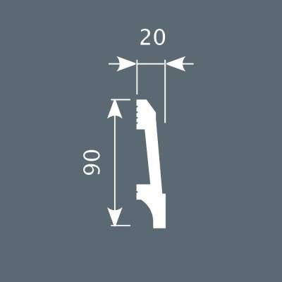 p023.20